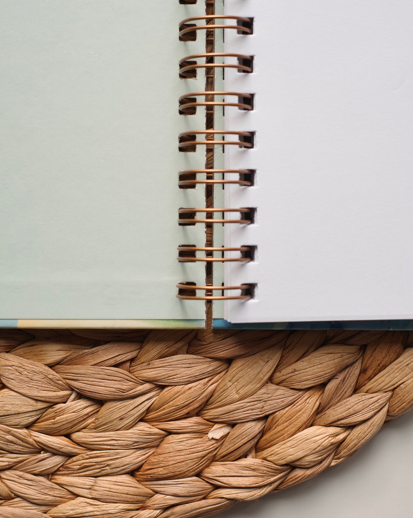 Hydrangea Bee Notebook