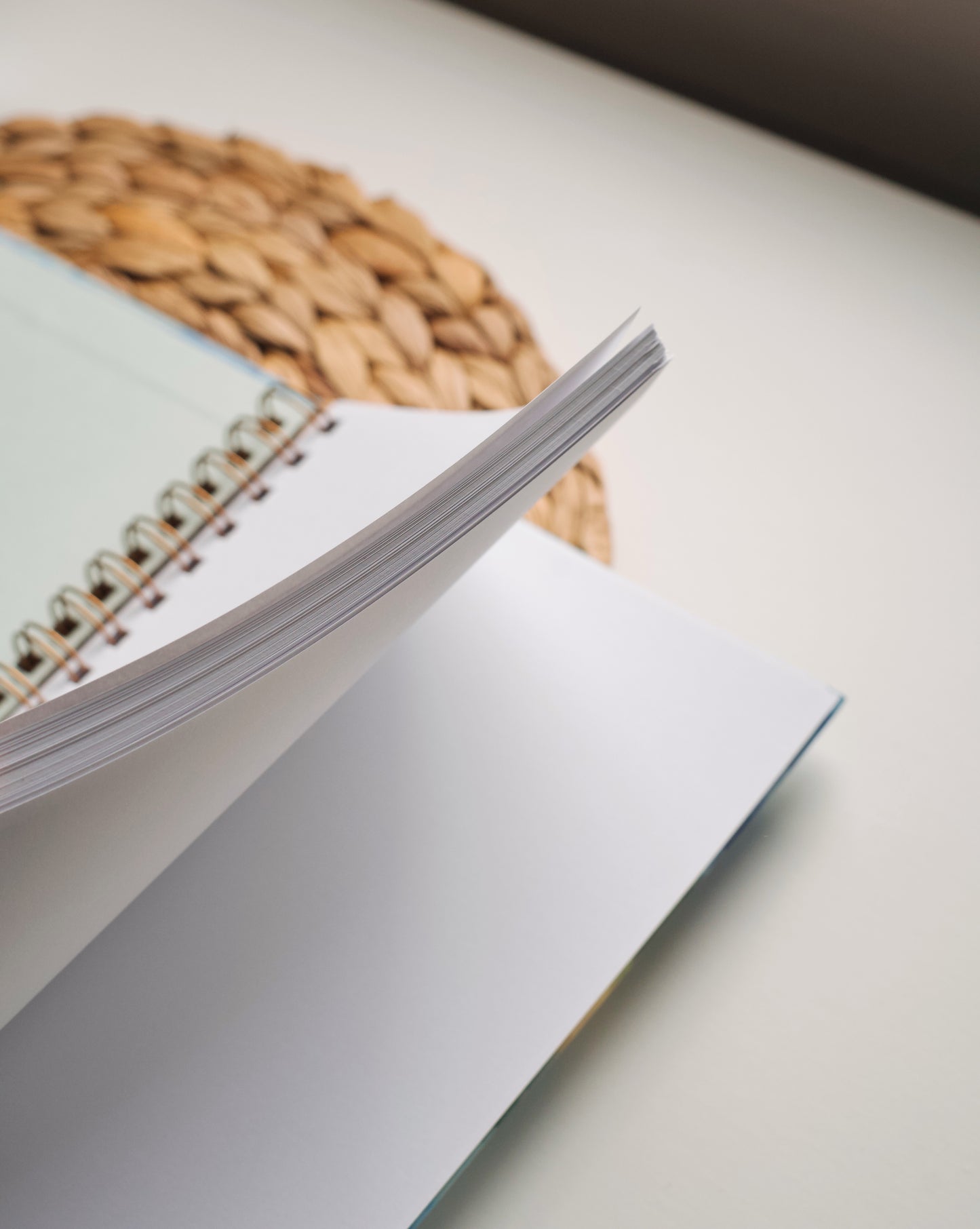 Hydrangea Bee Notebook